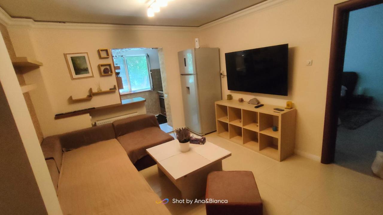 Duck Apartment Бухарест Экстерьер фото